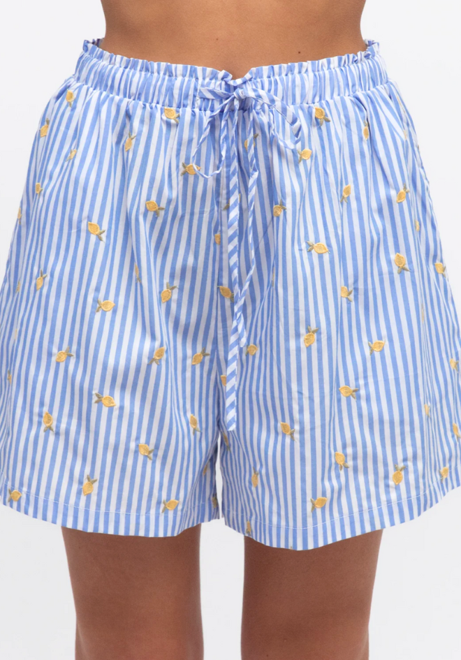 Blue and white striped shorts with yellow patterns on a plain background