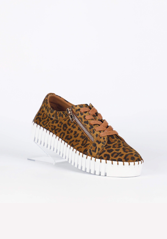 New Medusa Sneaker - Leopard