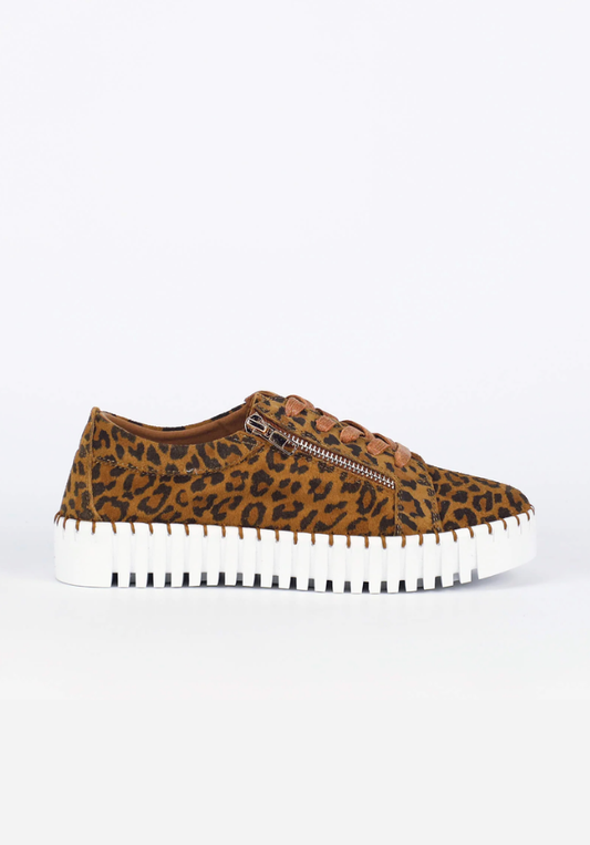 New Medusa Sneaker - Leopard